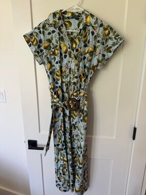 Women’s Pear Print Button-Front Midi Dress with Belt